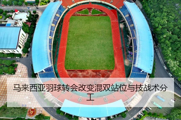 马来西亚羽球转会改变混双站位与技战术分工（FIFA）